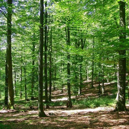 Gites La Tabatiere Laforet Luaran gambar