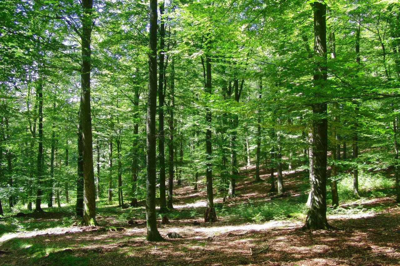 Gites La Tabatiere Laforet Luaran gambar